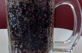 Oasis Diner Root Beer – Eric’s Gourmet Root Beer Blog