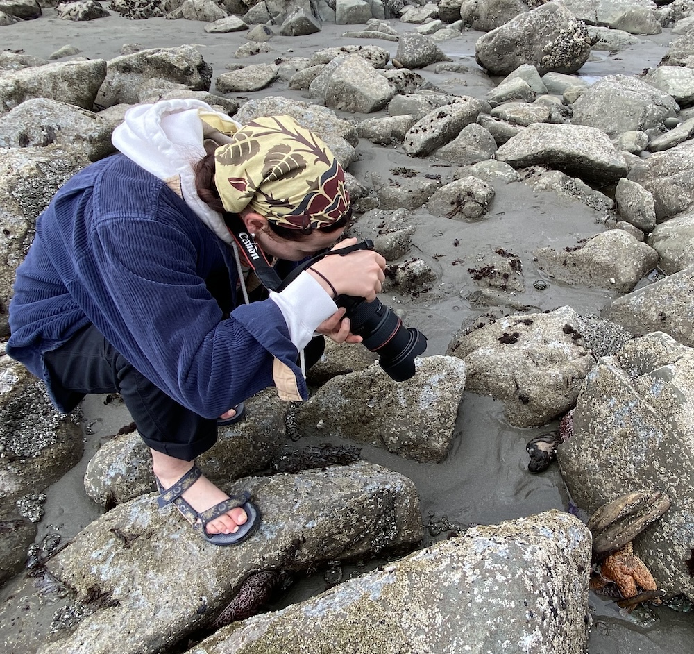 Crouched person aiming camera at sea star in a tidepool. 