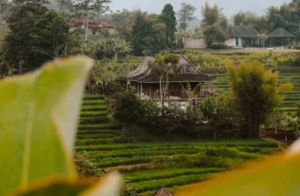 Sidemen Bali: 24 tips voor activiteiten, restaurants en hotels