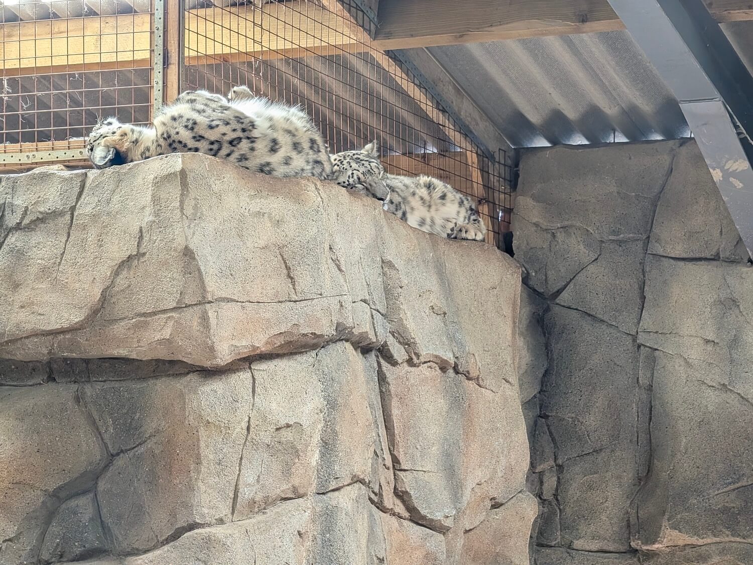 Northumberland zoo