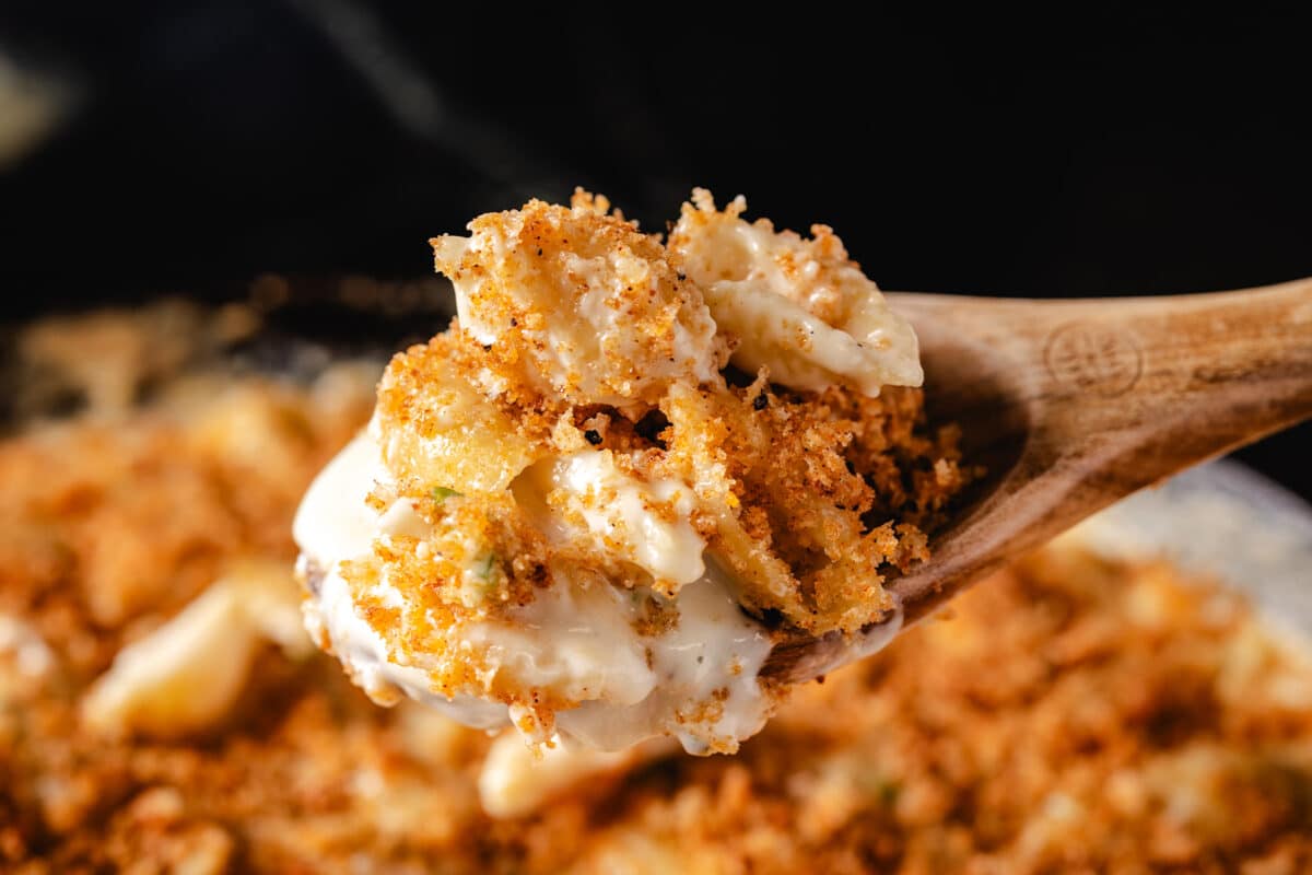 creamy mac and cheese. 