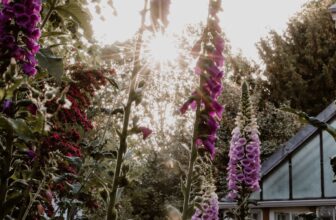 From Blank Canvas to Garden Retreat: How to Give Your Outdoor Space More Personality
