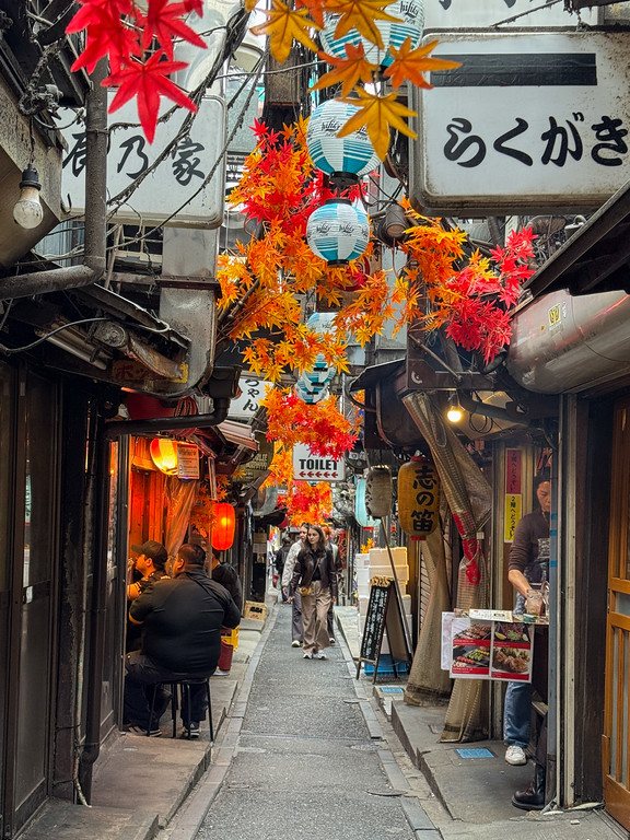 Omoide Yokocho Memory Lane in Tokyo