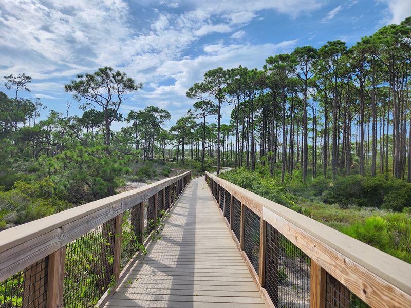 Trails for Walking, Running, and Rolling Trails for Walking, Running, and Rolling