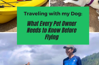 Are You Ready to Travel with Your Dog: What Every Pet Owner Needs to Know Before Flying