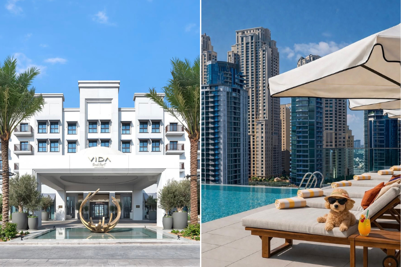 Things to do in Dubai with pets 