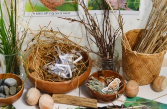Make a Bird’s Nest Activity