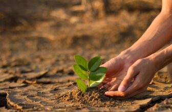 7 Climate Education Video Lessons for Classrooms