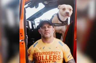 Tom Hardy May Play Tough Guys, But Rescue Dogs Have Always Had His Heart