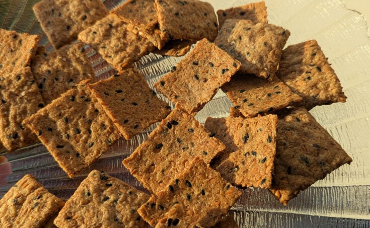 Gluten Free Sourdough Discard Crackers