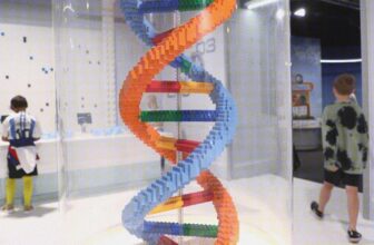 Illinois Genetic Information Protection Act Comes of Age