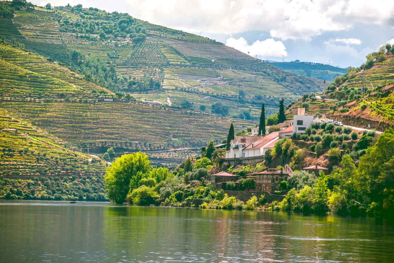 douro valley 2 OP
