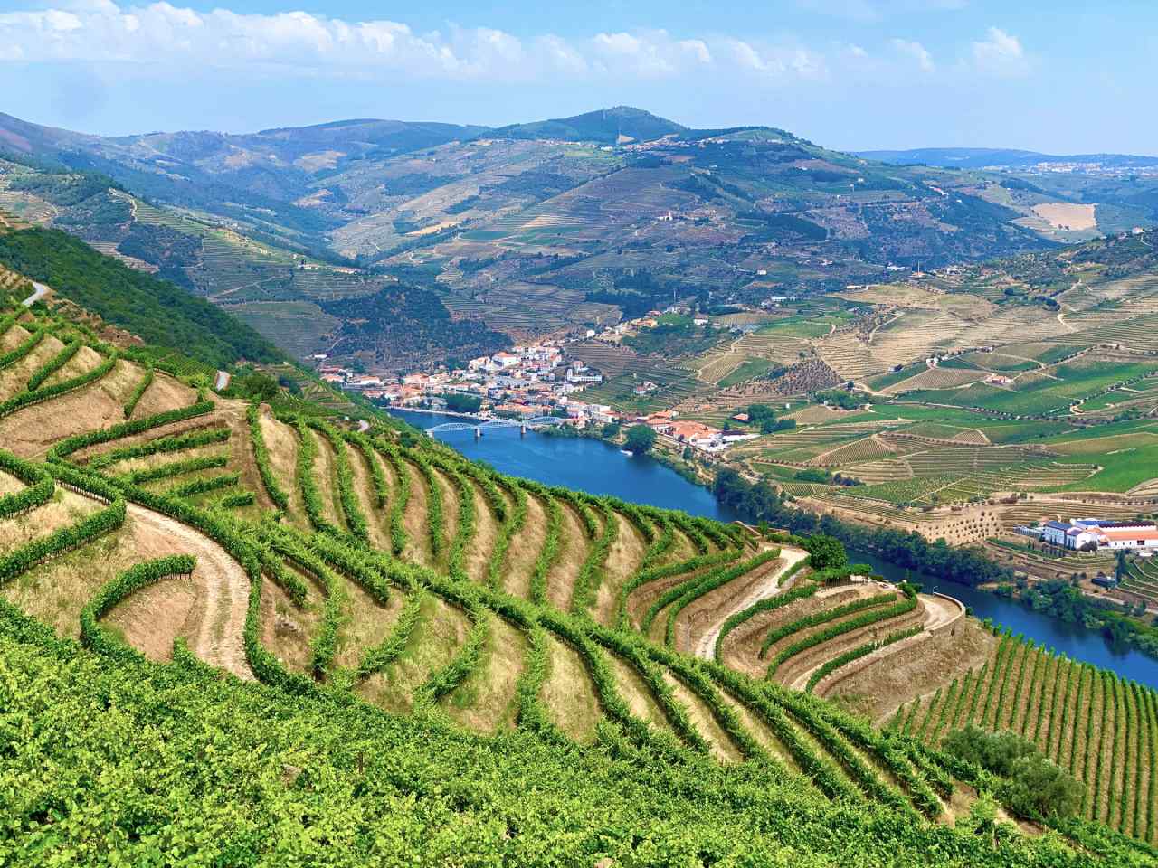 douro valley, portugal OP