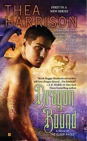 Dragon Bound book cover 