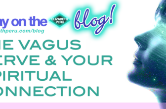 THE VAGUS NERVE AND YOUR SPIRITUAL CONNECTION
