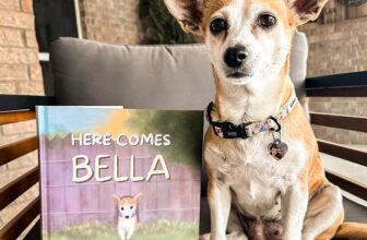 The Little Chihuahua Who Walked Into Our Lives When We Needed Her Most — Dogster