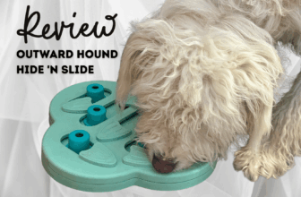 Outward Hound Hide ‘n Slide by Nina Ottosson
