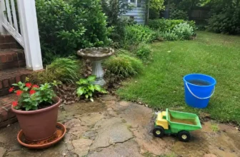 How to Get Rid of Mosquitoes in Your Yard