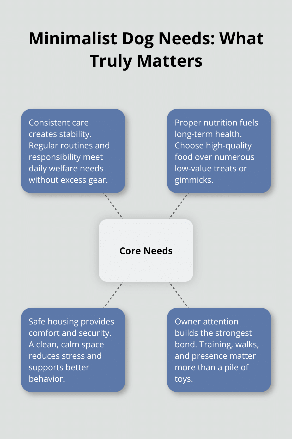 Infographic showing core needs of a minimalist dog lifestyle in the U.S.