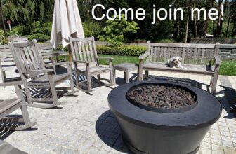 October Dog Meetups – San Francisco Dog Trainer The Pooch Coach