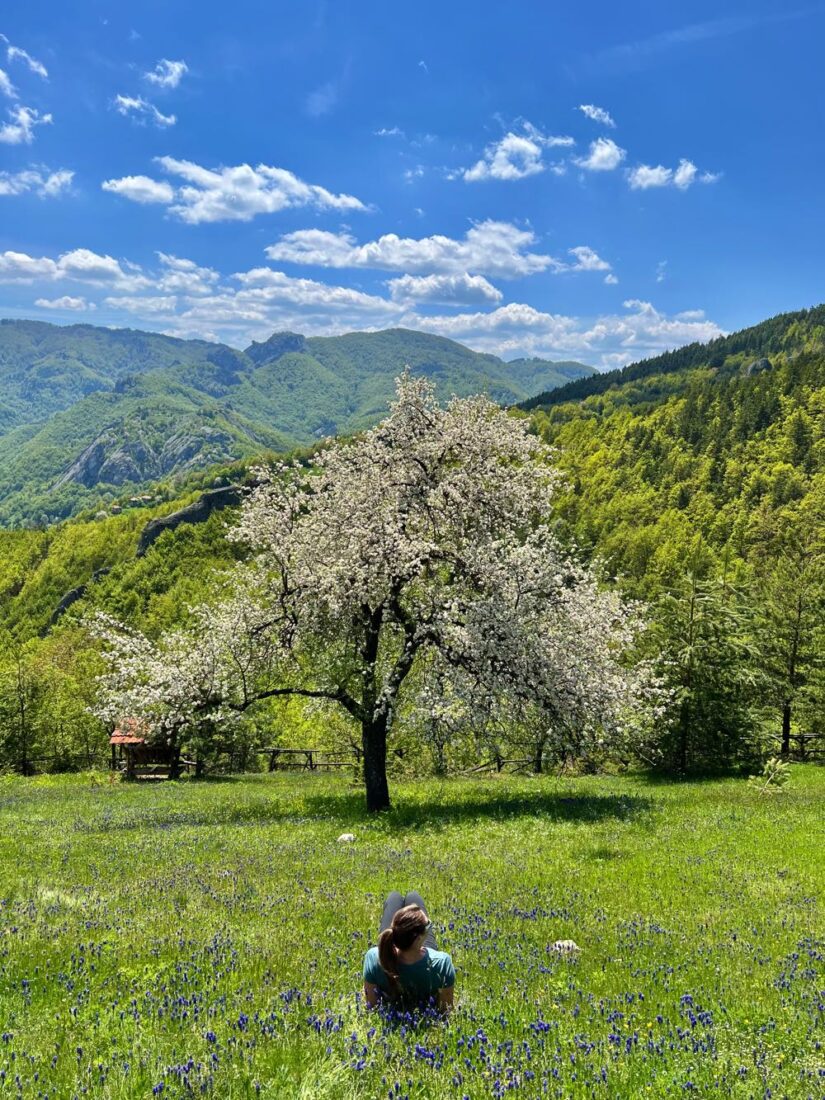 springtime in bulgaria