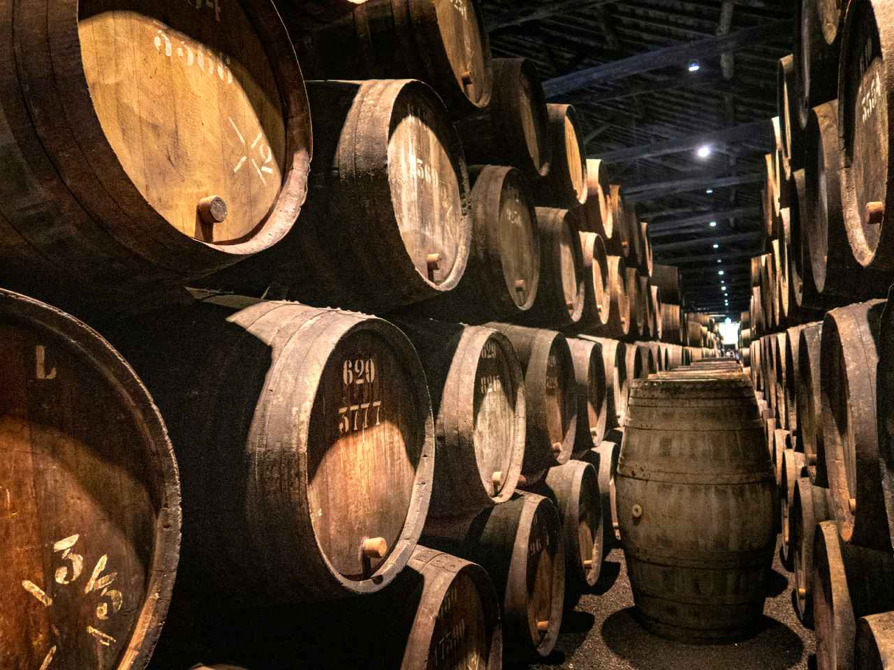 taylors porto OP