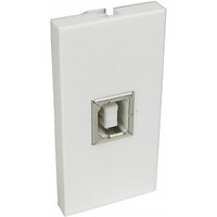 USB Socket Faceplate Module Type B Female Euromod Wall Plate Module