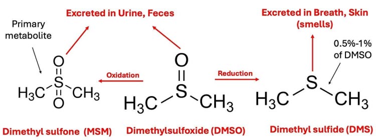 what is dmso