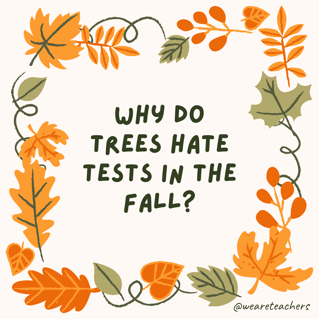 an image of a fall joke surrounded by fall leaves and vines