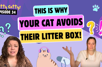 Chatting About Automatic Litter Boxes, Poop on the Floor, and Very Simple Fixes