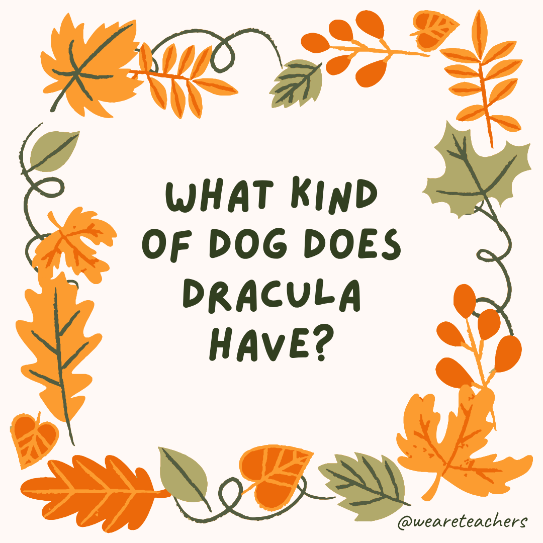 an image of a fall joke surrounded by fall leaves and vines