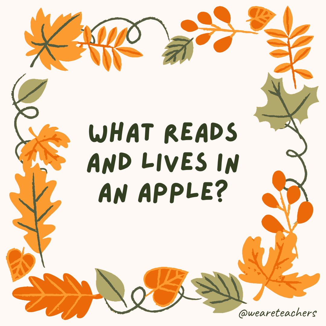an image of a fall joke surrounded by fall leaves and vines