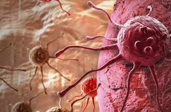 MIT biologists discover cellular pathway that triggers colon cancer spread