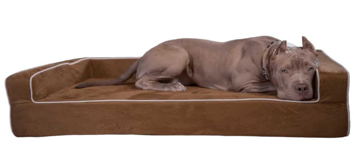 Dog sleeping in Bully Bed