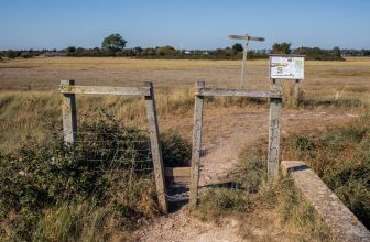 How to Do the Stunning Thorney Island Circular Walk (West Sussex)