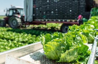 Officials declare end to largest US outbreak of Cyclospora