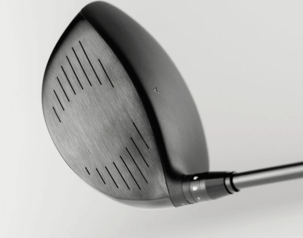 Takomo IGNIS D2 Driver