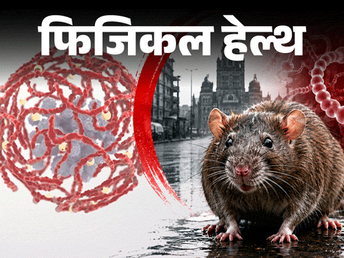 बारिश में बढ़ता रिस्क, पानी में न भीगें, जानें सभी लक्षण और बचाव के लिए जरूरी सावधानियां|लाइफस्टाइल,Lifestyle - Dainik Bhaskar