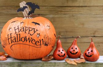 Funny, Short and Spooky Sayings