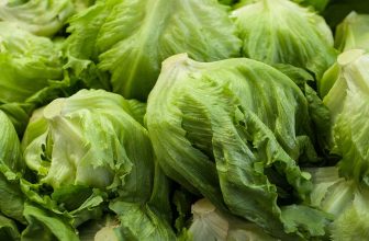 Was the summer of foodborne outbreaks as bad as it seemed?