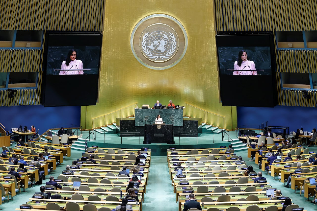 A person addresses a large room of people.