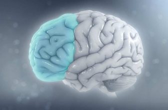 Strokes Aren’t Just an Older Person’s Problem: New Study Reveals a Growing Risk Among Younger Adults
