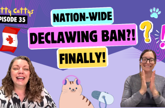 Chatting About Declawing Law Changes, Vegan Cats, and Pre-Internet Rumors