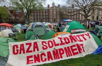 After the Encampments: Palestine, Higher Ed and Free Speech
