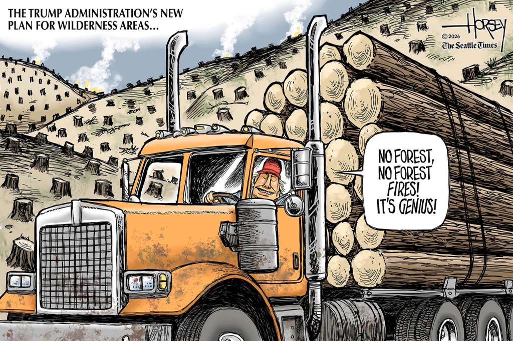 A cartoon showing Donald Trump driving a logging truck and saying "No forests = no forest fires. It's genius!"
