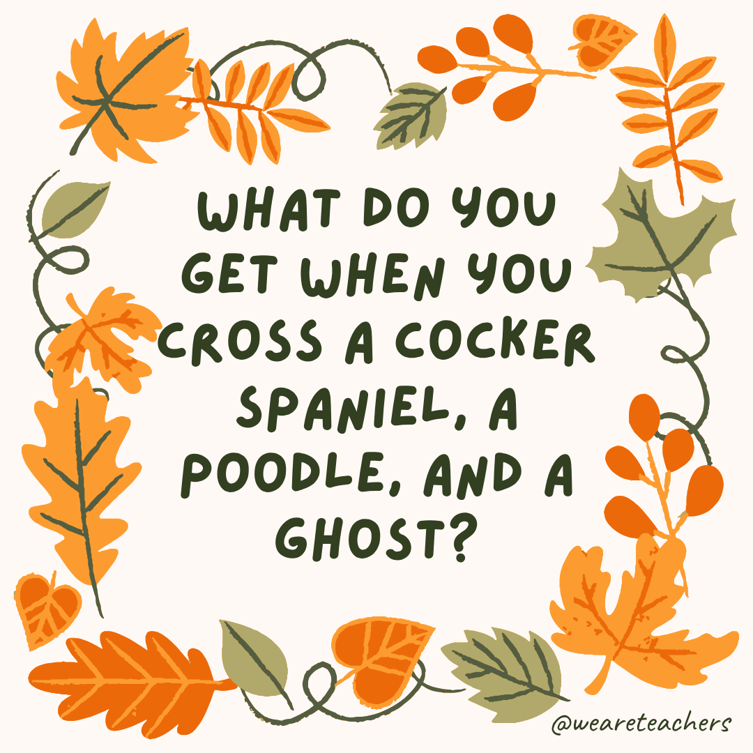 an image of a fall joke surrounded by fall leaves and vines