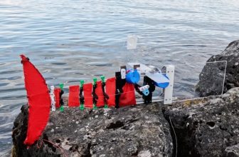 Small, medium or large, a robotic fish maintains its swimming ability