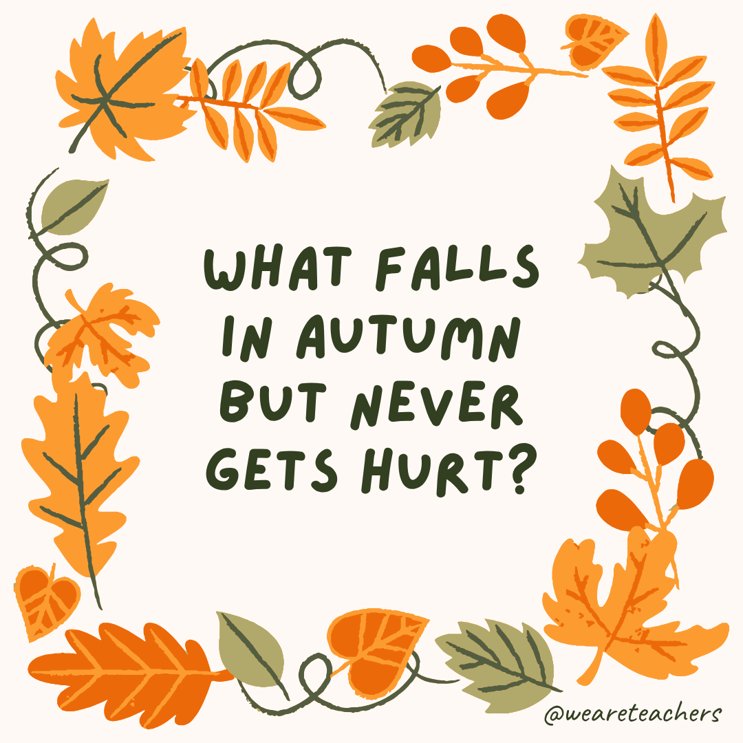 an image of a fall joke surrounded by fall leaves and vines