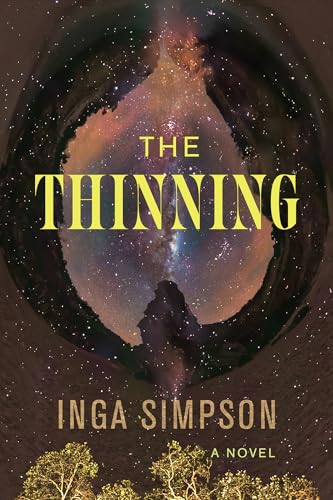 The Thinning by Inga Simpson. The night sky with stars, but there's some sort of design, as if we're looking up at it through a hole and the hole looks very much like the shape of a vagina.