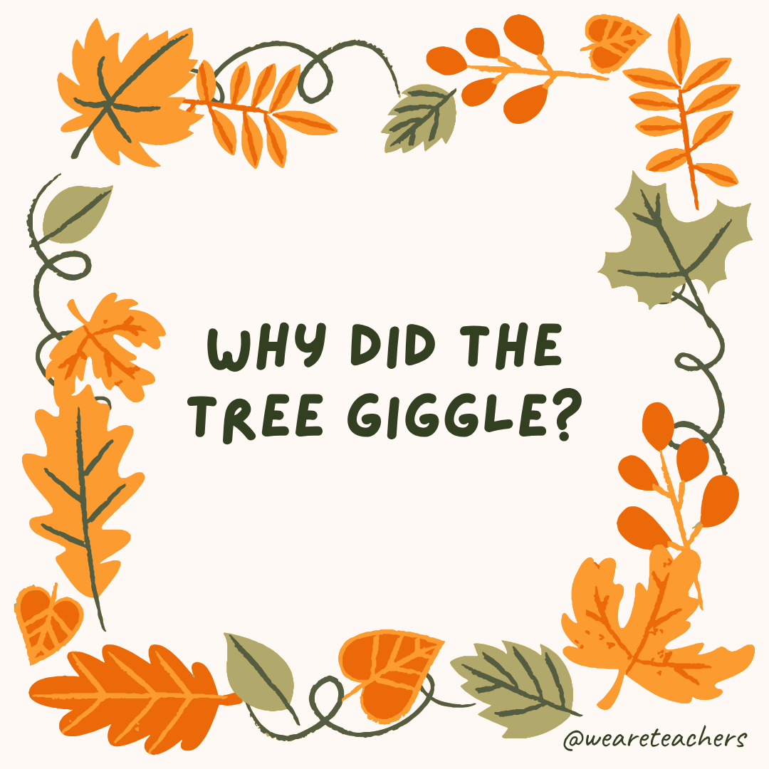 an image of a fall joke surrounded by fall leaves and vines